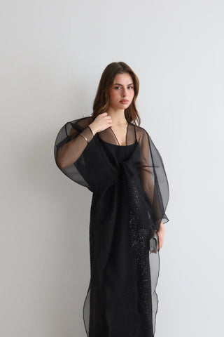 Shine Collection